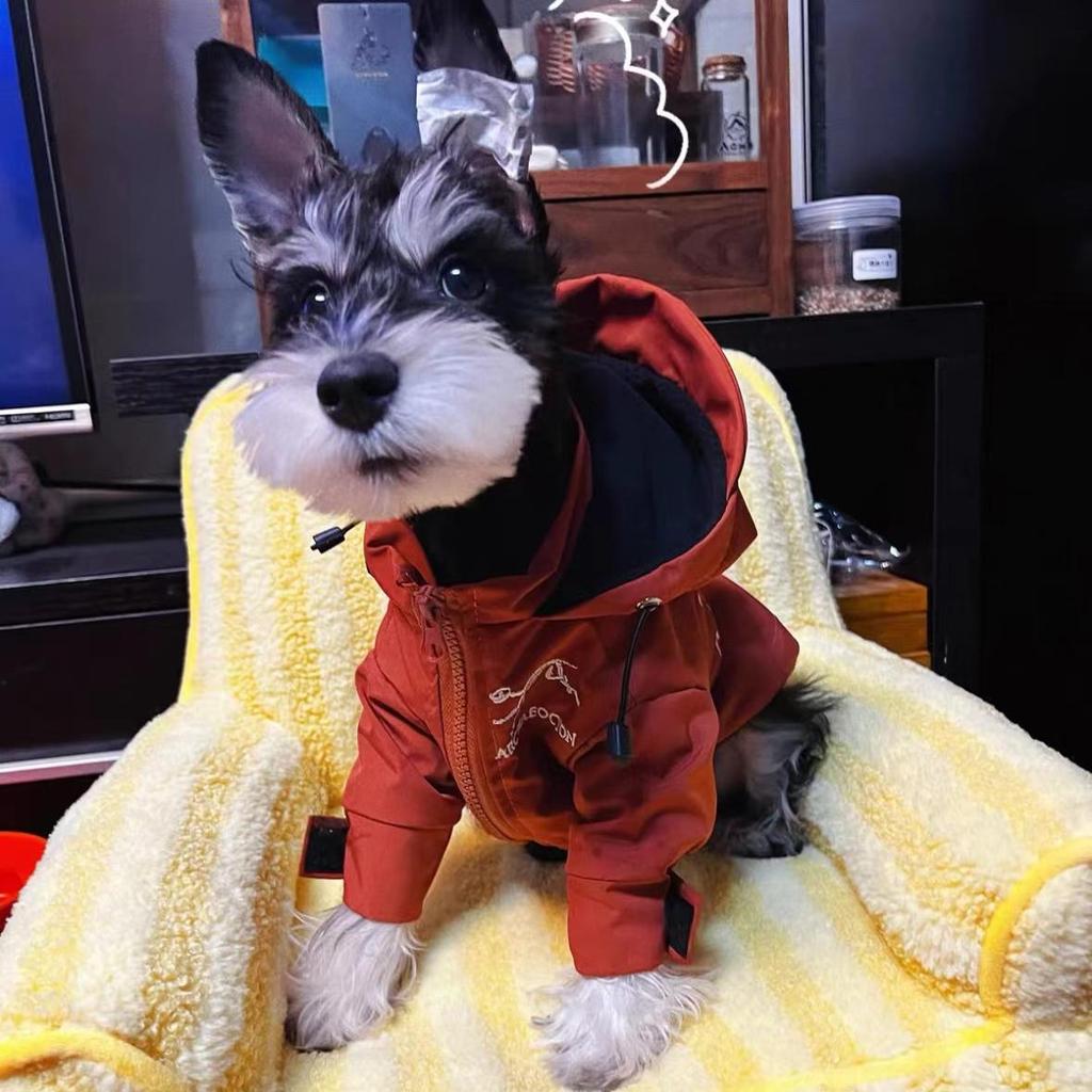 Trendy Pet Windbreaker: Warm Autumn/Winter Clothes for Small Dogs & Cats (Teddy, Bichon, Schnauzer, French Bulldog)