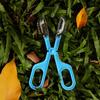 10lots Large Spiders Insect Catcher Tweezer Clamp Tongs Children Educational Toy for Various Pet Households