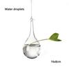 Creative Hanging Ball Glass Flower Glass Vase Hydroponics Plant Pot Terrarium Container Garden Supplies Party Home Decoration