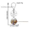 Dinosaur Keychain Pendant: T-Rex, Pterodactyl, Diplodocus, Spinosaurus with Metal Lobster Clasp - Popular European & American Design