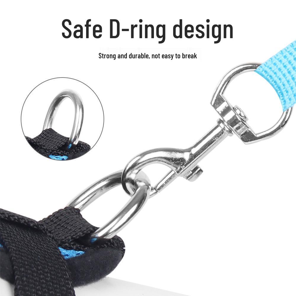 Breathable Dog Harness and Leash Set for Outdoor Walking