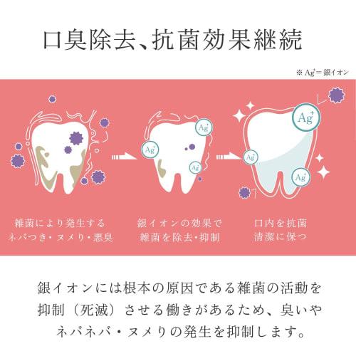 [Official] Ultimate Refinement X Supreme Structure NOILA-S&T Two Toothbrushes + NOILA-N Classic Toothpaste 50g | Ultra-Fine Bristles & Two Types of Sp