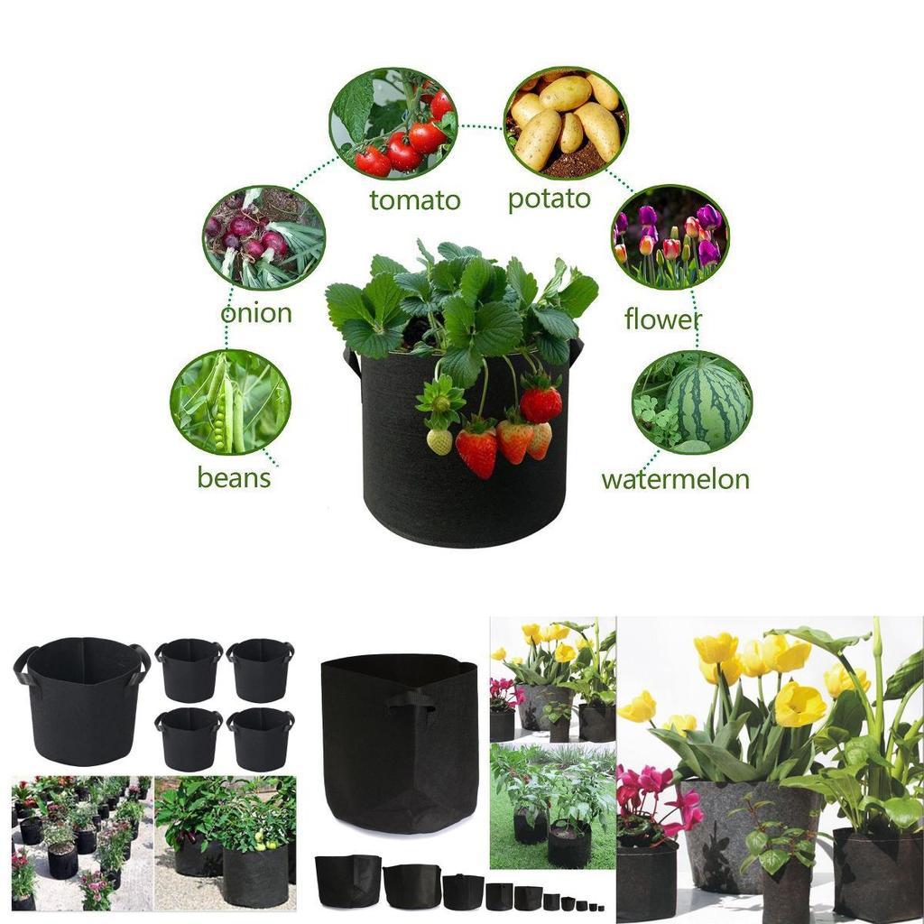 Versatile Fabric Root Pots Smart Plant Grow Pot Bags With Large Capacity For Thriving Plants