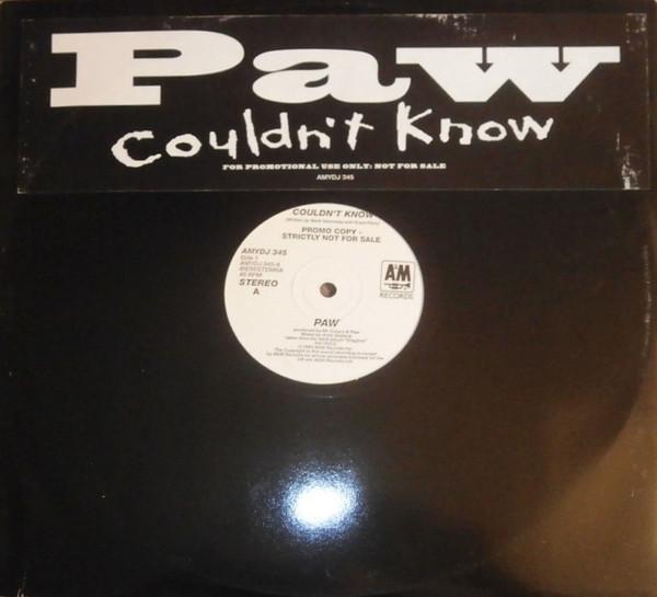 

12inch Record PAW Couldnt Know AMYDJ345 AM Records 1993 UK Rock Used