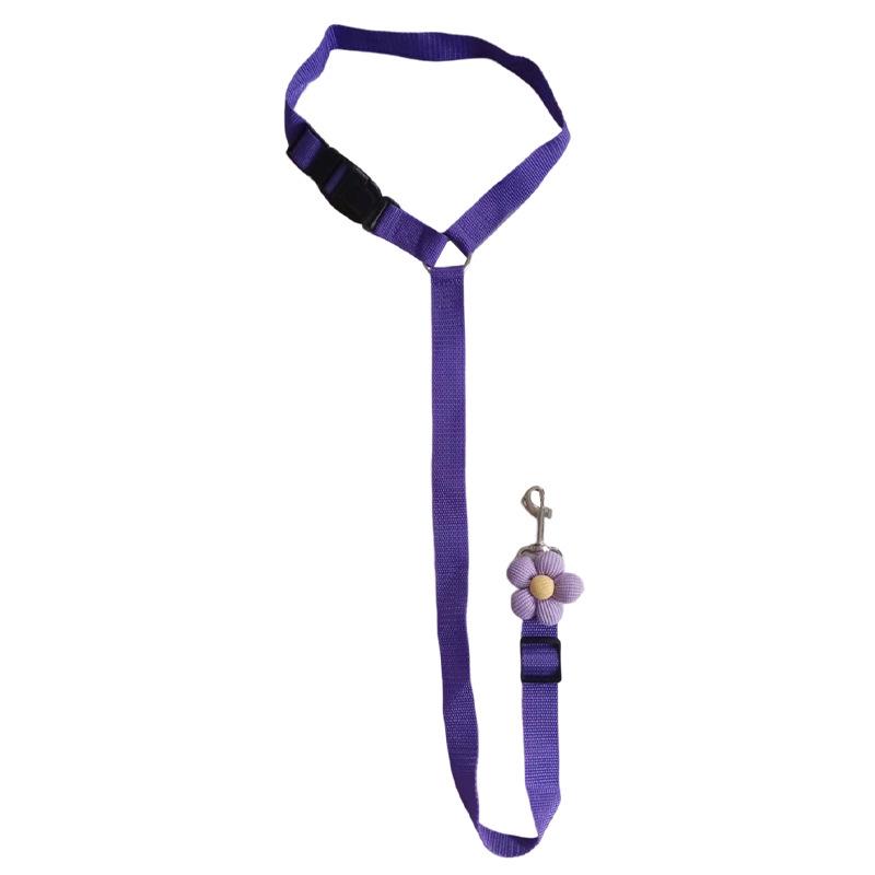 

Красочный поводок для безопасности питомца в машине