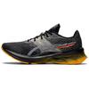 Asics Novablast 'Pixel Noise - Sheet Rock' (Unisex) Black / Sheet Rock Running Shoes 1011B149 001