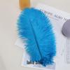 White Ostrich Feathers 15-80cm for Lighting, Wedding Aisle Decor, Photo Props, and Vase Ornaments
