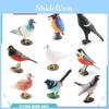 Natureinspired Pvc Magpie Pigeon Bird Models For Ornithology Decor And Educational Displays
