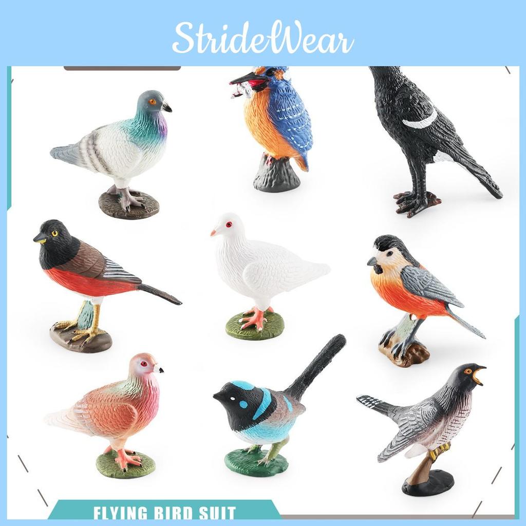 Natureinspired Pvc Magpie Pigeon Bird Models For Ornithology Decor And Educational Displays