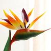 1PC Artificial Strelitzia Fake Flower Bird of Paradise 80cm Simulation Plant for Floral Arrangement Art Holiday Home Party Decor