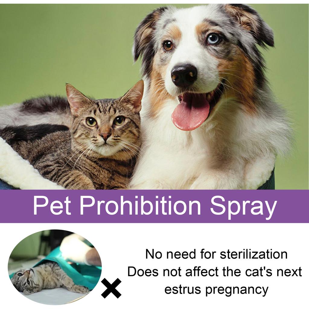 Pet Calming Spray Pheromone Mood Calming Diffuser Improve Estrus Agitation Anxiety Relief Prevent Howling Cat Dog Health Supply