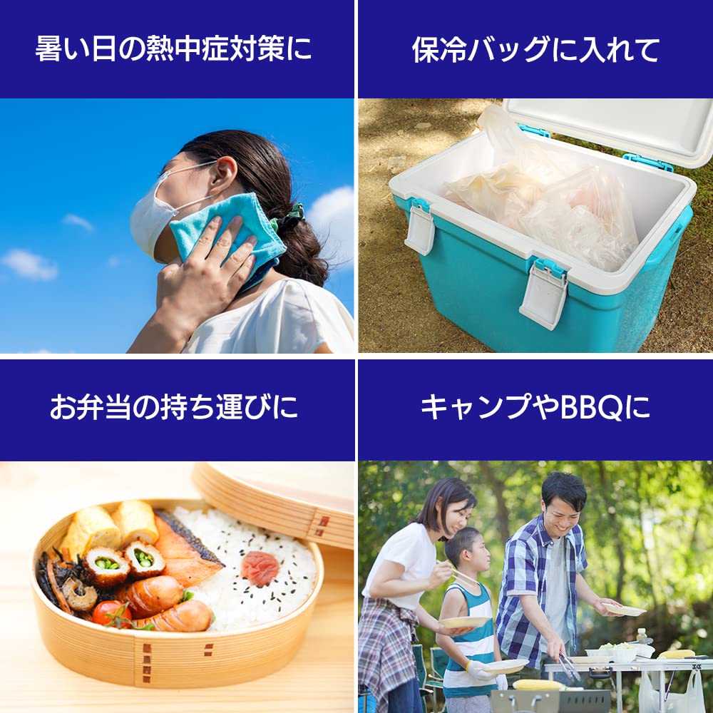 Iris Ohyama Hard Ice Packs of CKB-800 (Set 3)