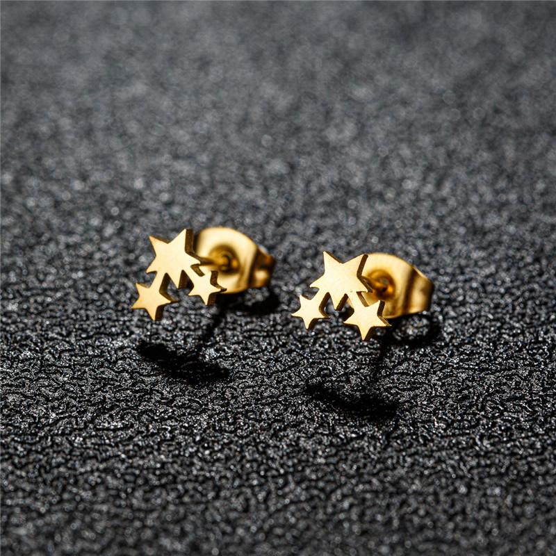 Big Star Earings Punk Stud Earrings Women Minimalist Jewelry Rose Gold Color Stainless Steel Earrings 2024 Piercing Accessories
