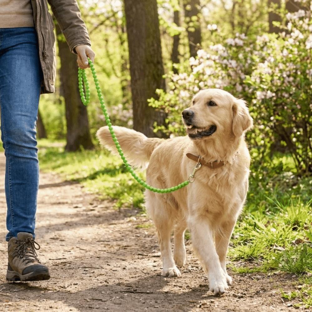 Bite Resistant Beaded Dog Leash Artificial Pearl Anti-Escape Dog Lead Leash Decorative Solid Color Pet Traction Rope