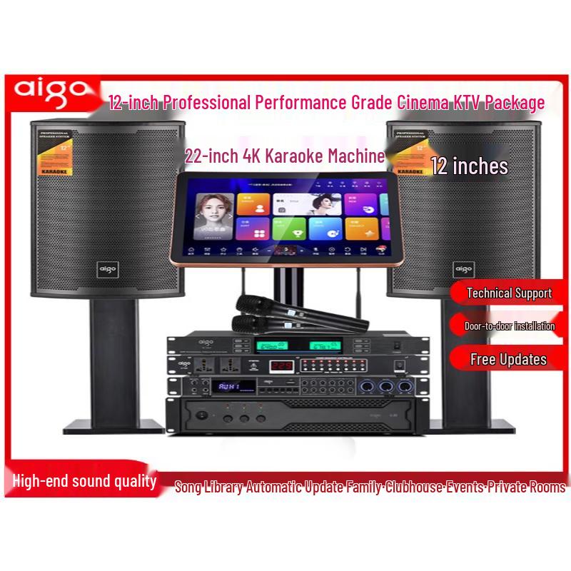 Aigo High-End Home Karaoke Audio System (CN Version)