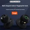 Tuya Bluetooth-compatible Smart Door Lock Waterproof Fingerprint Electronic Lock Knob APP/Key/Fingerprint 3 Ways to Unlock