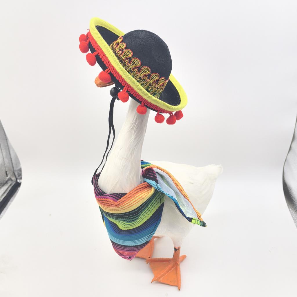 Chovatelské potřeby Bílá husa Klobouk Šátek Sada Dekorace Velká bílá husa Barevný kožešinový míč Slaměný klobouk Pruhovaný trojúhelníkový šátek