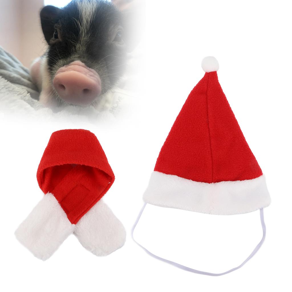 Small Animal Christmas Costume Christmas Scarf and Hat Set for Guinea  Chinchilla and Other Small