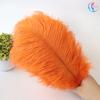 25-30Cm Colorful Ostrich Feathers, Wedding Table Flower Decoration, Wedding Decoration, Stage Performance Props Diy Jewelry