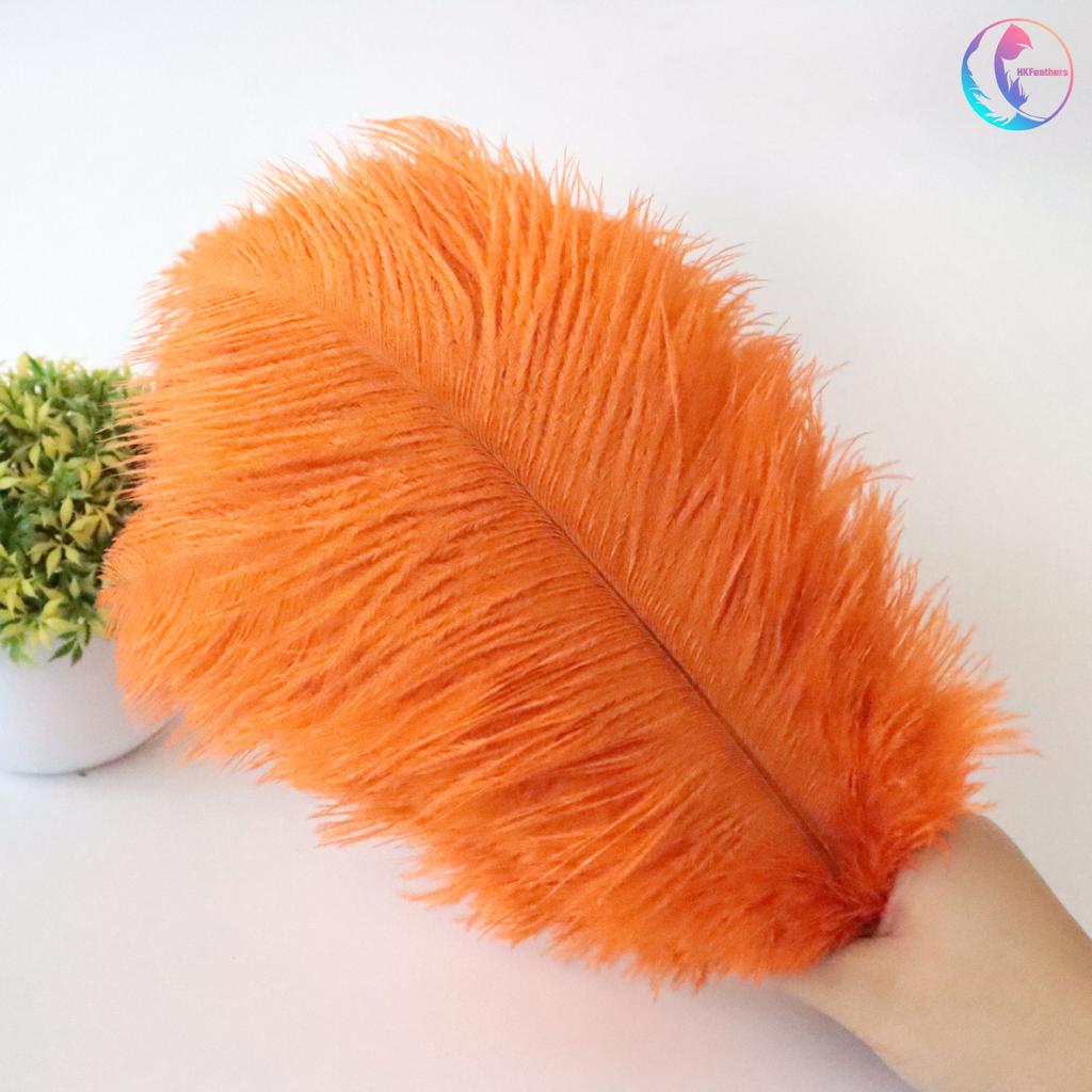 25-30Cm Colorful Ostrich Feathers, Wedding Table Flower Decoration, Wedding Decoration, Stage Performance Props Diy Jewelry