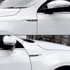 2pcs 3D Metal Car Fender Side Wing Blade Badge Emblem Sticker For Renault DACIA Fluence Scenic Loguna Twingo Fluence Megane Clio HH49