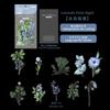 10 Sheets Large Size Flower Sticker Pack, Fresh Floral Journal Decor, Diary Album DIY Collage Material