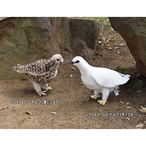 BH7647 HANSA Ptarmigan Summer 28