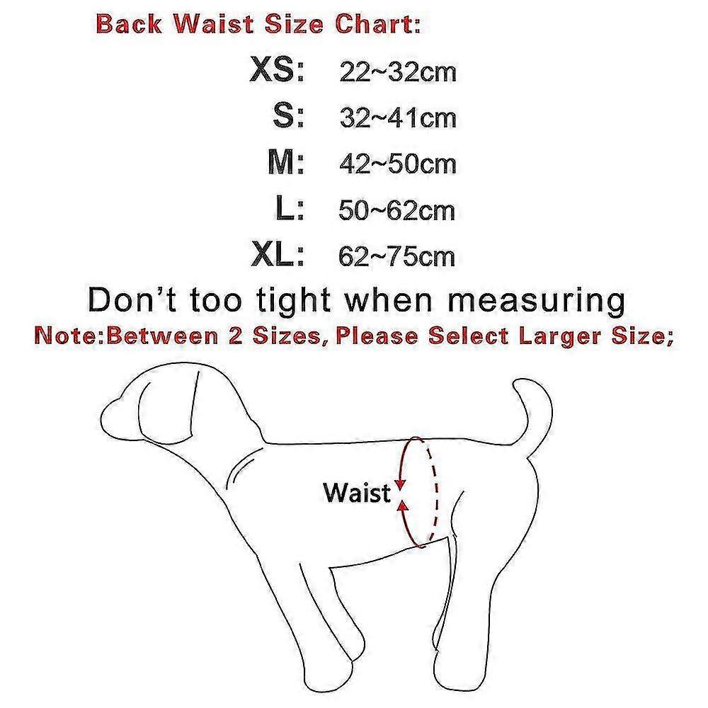 3 Pack Male Dog Diaper Wrap, Washable Puppy Belly Bands, Super-absorbent And Comfortable