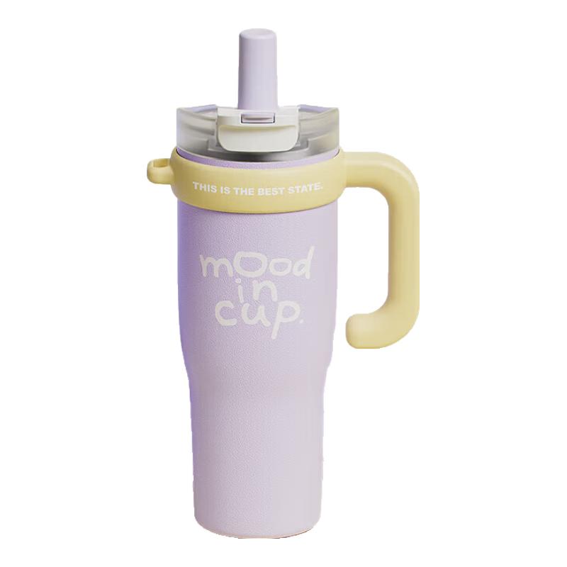RELEA Strong Water Keeper Insulated Mug