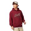 Li Ning Badfive 3D Loose Fit Hoodie With Logo Men Hoodies AWDW025-9