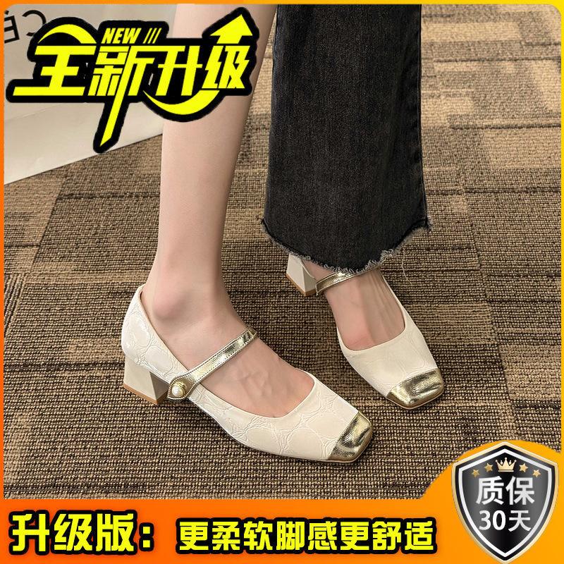 Niche Mary Jane Shoes New Spring and Summer with Skirts Thick Heels High Heels French Fairy Shoes Gentle Fashion Single Shoes
