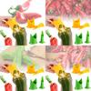 Durable Pp Pepper Corer Set Two Pieces Modern Kitchen Vegetable Corer Tool