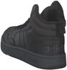 Кроссовки Adidas Hoops 3.0 Mid Winterized core black/carbon/cloud white