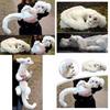 Falkor Dalla Storia Infinita Peluche Drago Fortunato Giocattolo Imbottitura in Cotone PP Decorazione per la Casa Regalo per Bambini