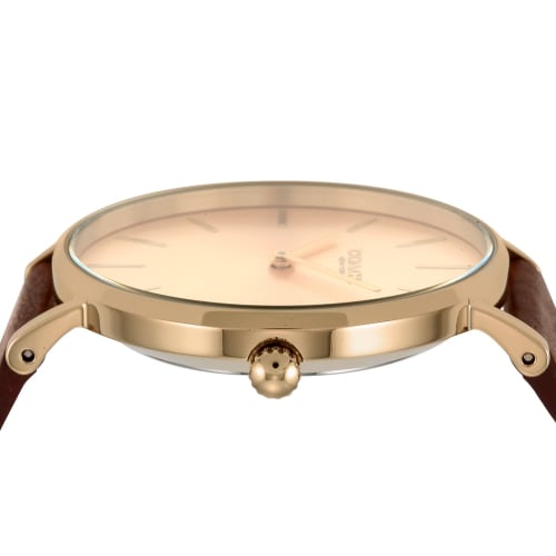 Coach PERRY Women's 36mm Gold Dial Stainless Steel Quartz Watch (14503331) In Brown