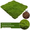 Artificial Moss Turf for Landscaping and Decor
