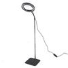 Floor Plant Grow Light Black 6 Inch USB Full Spectrum Led Dimmable Timer Floor Standing Halo