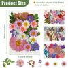 4Sheets Dried Flower DIY Bulk Scrapbooking Pressed Flower Resin Art Crafts Natural Dry Pressed Flowers Decor for Ornament Making
