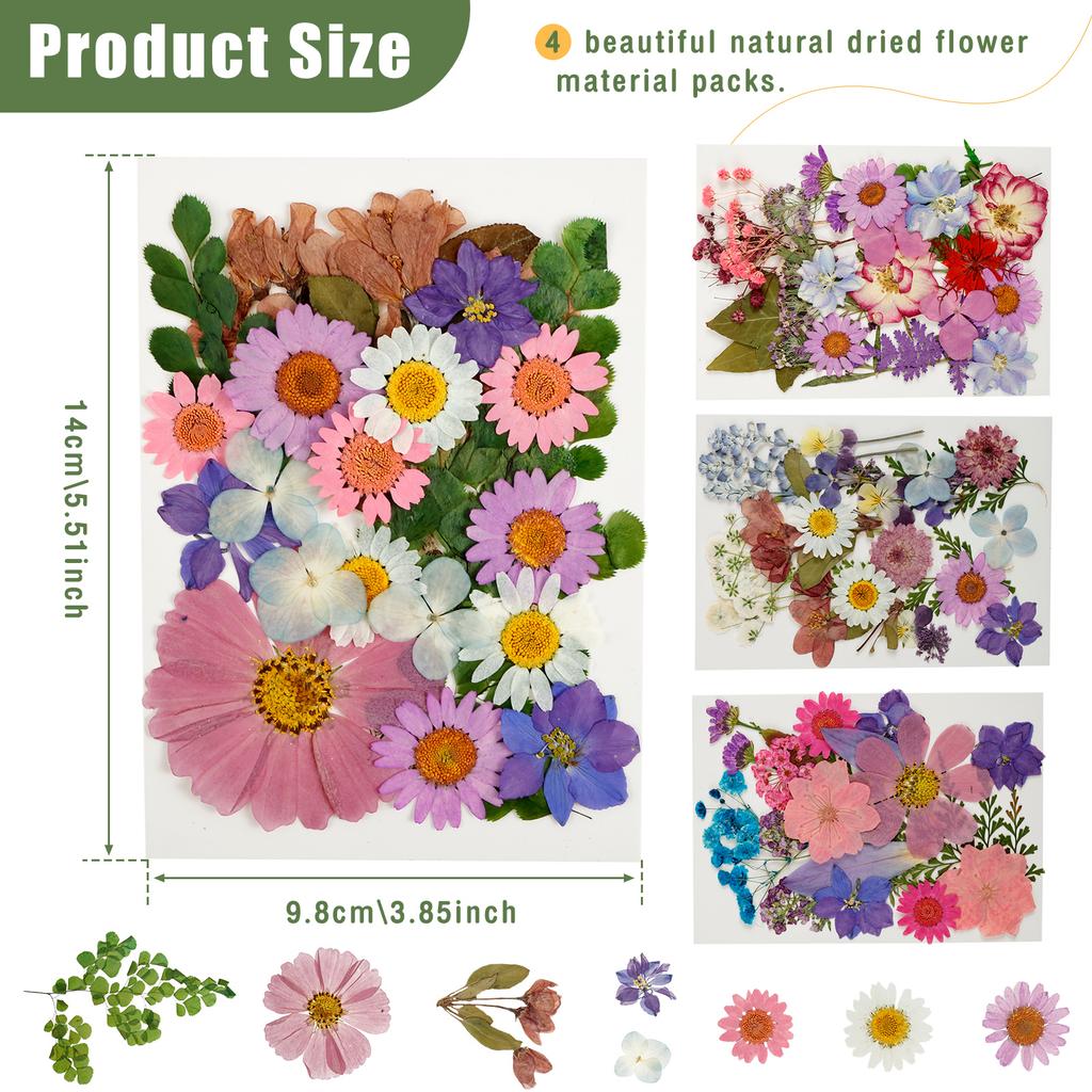 4Sheets Dried Flower DIY Bulk Scrapbooking Pressed Flower Resin Art Crafts Natural Dry Pressed Flowers Decor for Ornament Making
