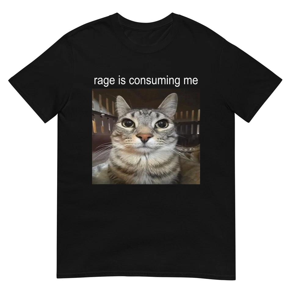 Rage is Consuming Me Silly Staring Cat Meme T-Shirt S