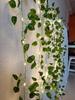2M/5M/10M Flower Green Leaf String Light Artificial Vine Fairy Light Battery Tree Eave Garland Light for Party Weeding HomeDecor