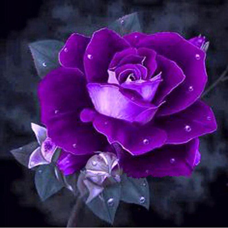 5d Diamond Painting Full Drill Round Flowers Diamond Embroidery Sale Plant Landscape Rhinestones Mosaic Children's Room Decor