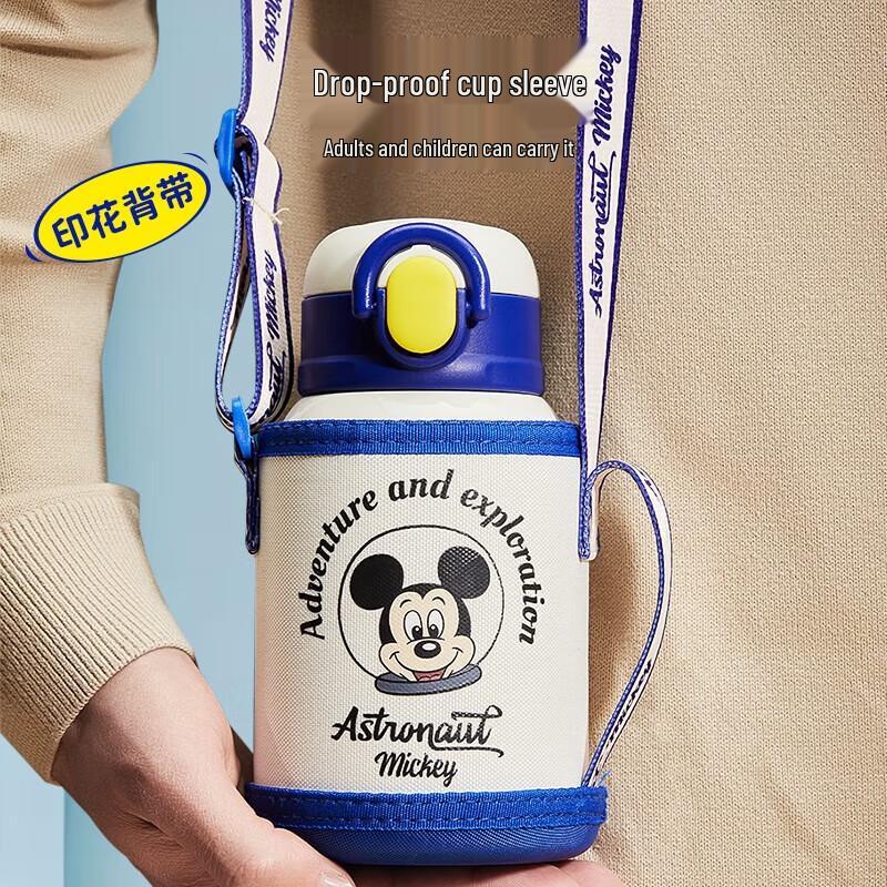 Disney 316 SS Kids Insulated Straw Bottle