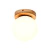 Modern Solid Wood LED Ceiling Lamp for Bedroom or Living Room