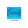 Mizuno GX SONIC EYE J Swimming Goggles Size Aqua Blue with Ruby Mirror (Non-Cushion), Unisex, N3JE900129, 29