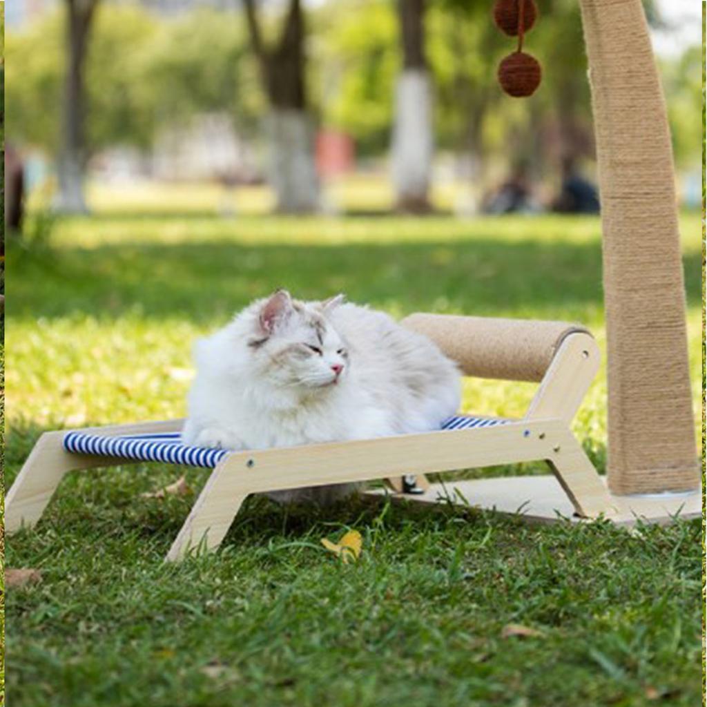 Cat Beach Chair Summer All Seasons Elevated Cat Bed with Sisal Scratcher for Outdoor Indoor Beach