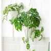 Eggshell Shape Hanging Plant Pot Water Storage Plant Container  Home Decoration