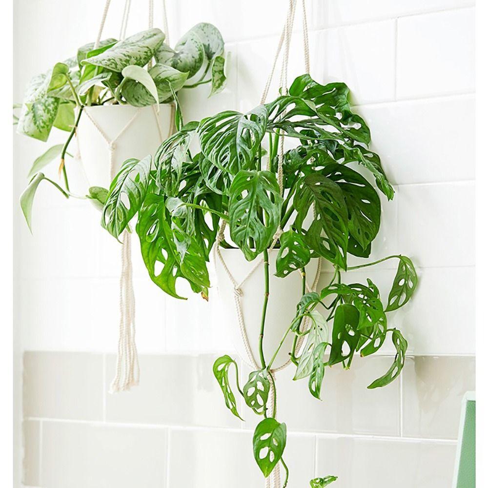 Eggshell Shape Hanging Plant Pot Water Storage Plant Container  Home Decoration