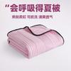 Summer Quilt Air Conditioning Summer Fresh Student Dormitory Single Person Summer Cool Quilt