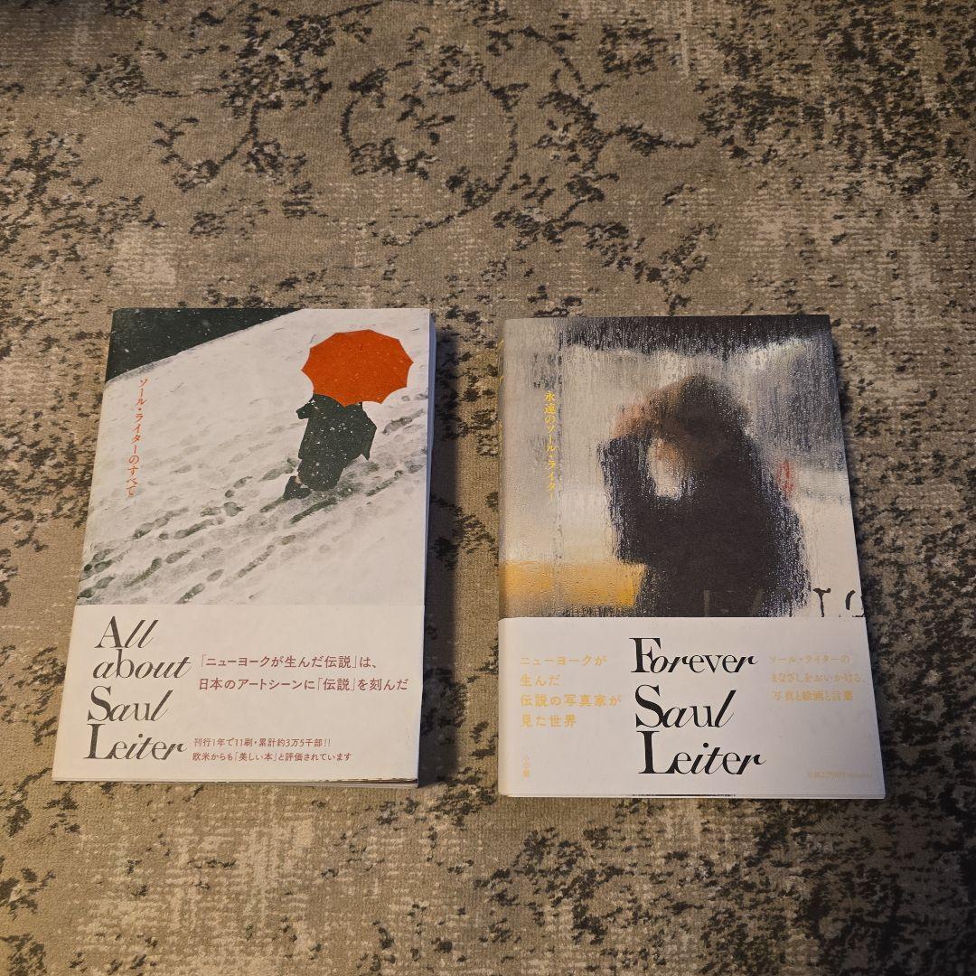 

[USED] Allabout SaulLeiter & Forever SaulLeiter